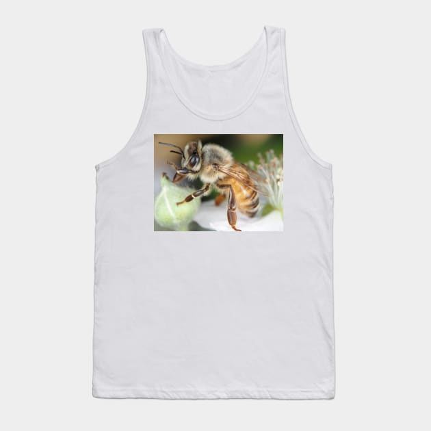 Honey bee Tank Top by SDym Photography